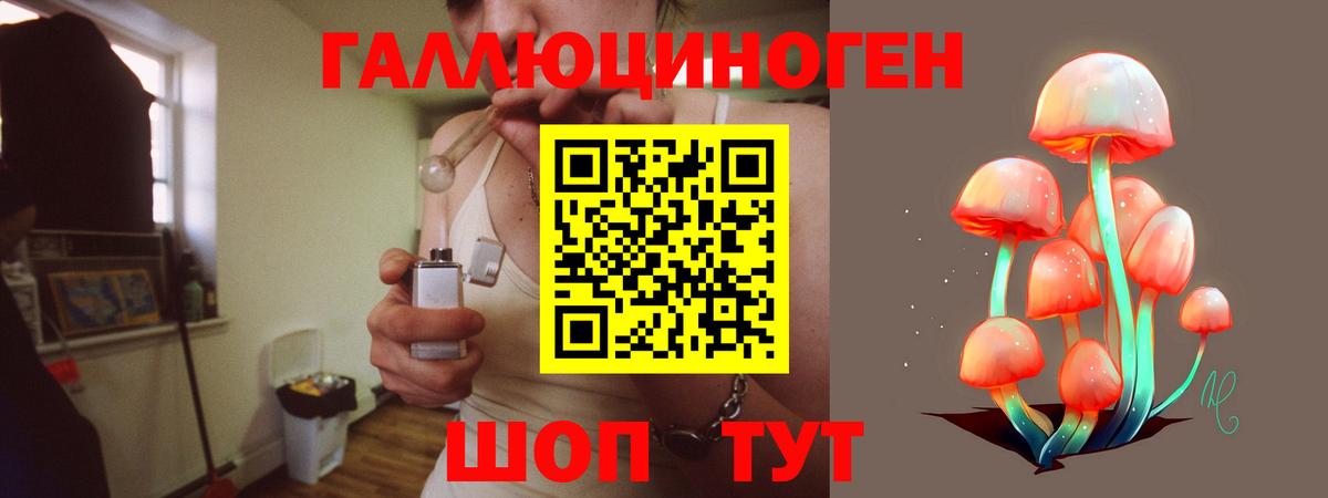Псилоцибиновые грибы прущие грибы Партизанск